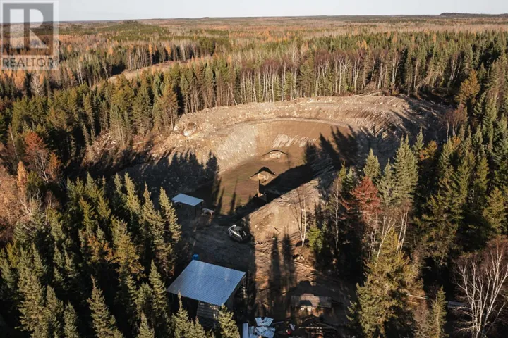 PCL 5199 Nungessor RD, Balmertown, Ontario P0V1C0