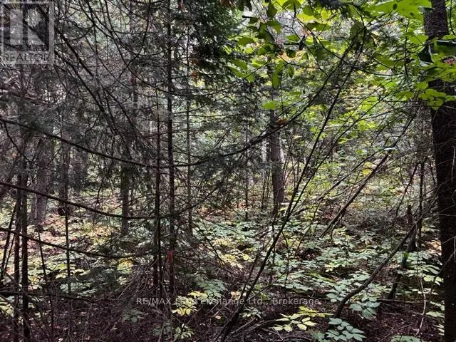 4 SHORE ROAD, Saugeen Shores, Ontario N0H2L0