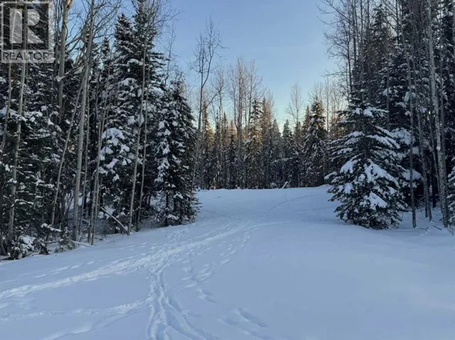 Lot 2 Range Road 180, Rural Yellowhead County, Alberta T7E3M2