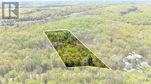 1835B LORIMER LAKE ROAD N, Whitestone (Hagerman), Ontario P2A1G0