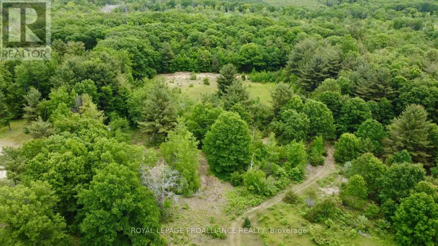 207 MIDDLE RIDGE ROAD, Brighton, Ontario K0K1H0