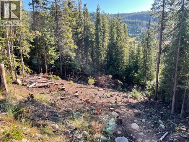 Lot 122 WAPITI CREEK Road, Oliver, British Columbia V0H1T8