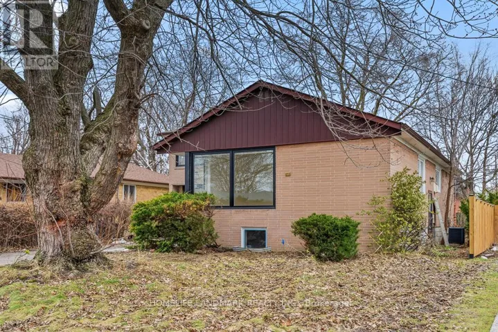 BASEMENT - 135 WATERLOO AVENUE, Toronto (Bathurst Manor), Ontario M3H3Y7