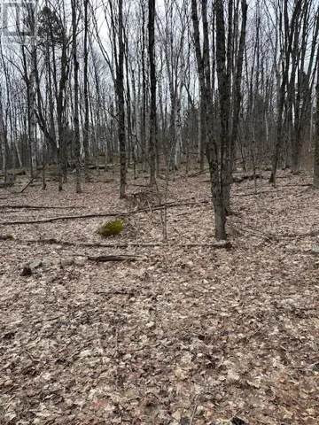 0 PROVIDENCE DRIVE, Algonquin Highlands (Stanhope), Ontario K0M1S0