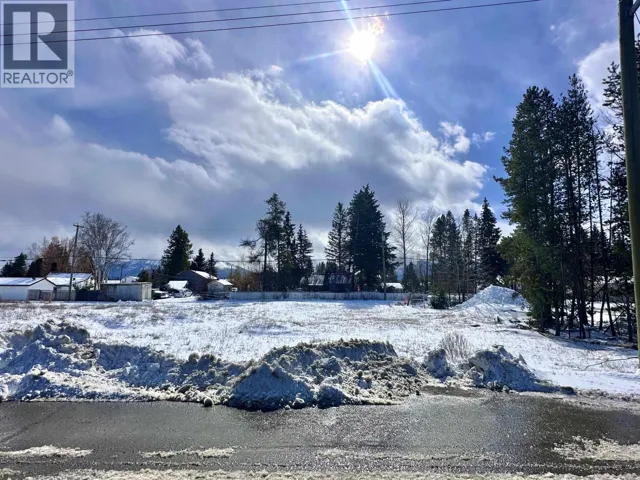 1123 5TH AVENUE, Valemount, British Columbia V0E2Z0
