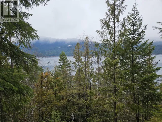 2180 15TH Avenue NW, Nakusp, British Columbia V0G1R1