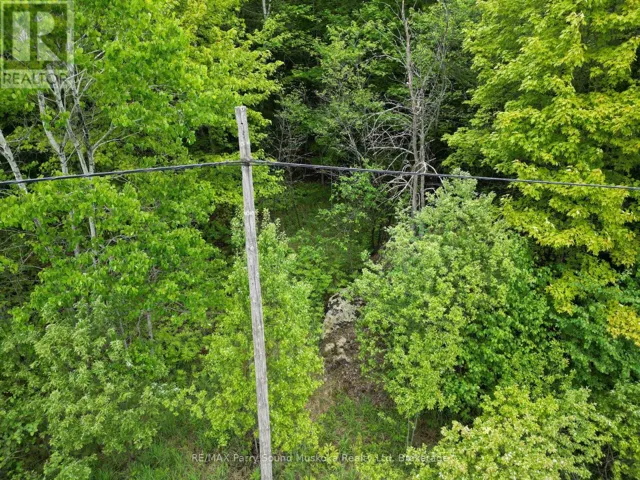 1-22342 EAST ROAD, Parry Sound Remote Area (East Mills), Ontario P0H1S0