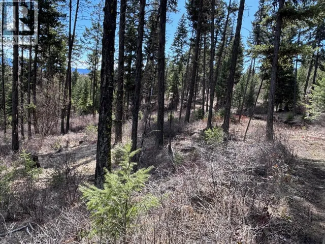 Lot 4 Hulme Creek Road, Rock Creek, British Columbia V0H1Y0
