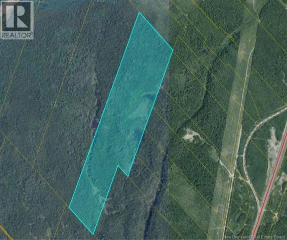 00 Timberland - Off King George HWY - Miramichi, Newcastle, New Brunswick E1V3X6