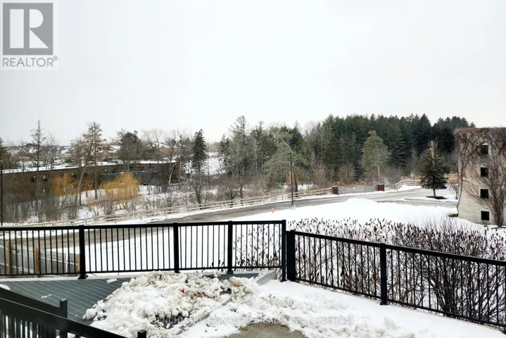 113 - 10 STECKLEY HOUSE LANE E, Richmond Hill, Ontario L4S0N1