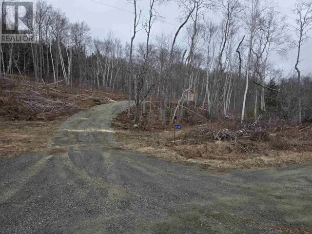 Lot 2 239 Sissiboo Road, Weymouth, Nova Scotia B0W3T0
