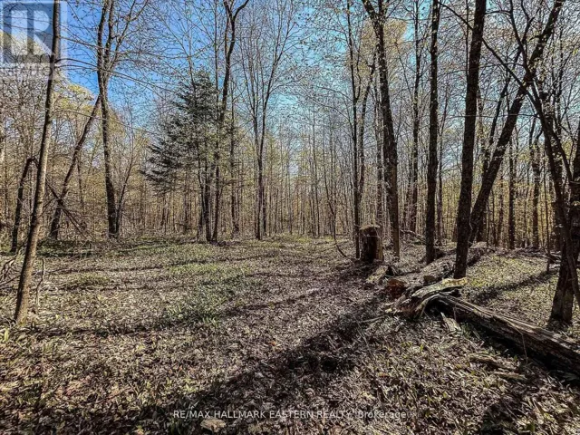 2494 HADLINGTON ROAD, Highlands East (Monmouth), Ontario K0L3K0