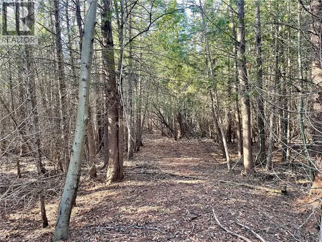 000 MAPLE GROVE Road, Scotland, Ontario N0E1R0