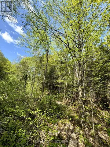 0 SALMON TROUT LAKE ROAD, Hastings Highlands (Monteagle Ward), Ontario K0L1C0