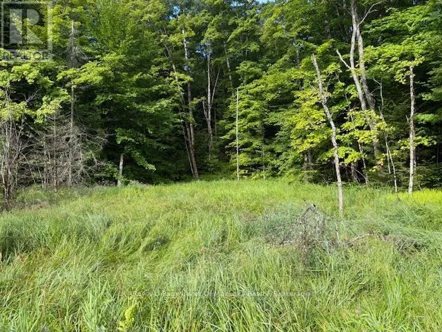 1788 OLD MUSKOKA ROAD, Huntsville (Stephenson), Ontario P0B1M0