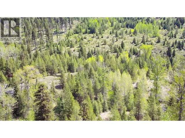 2610 Bubar Creek Road, Rock Creek, British Columbia V0H1Y0