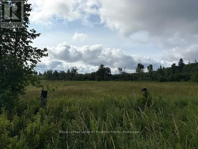 0 OLD MUSKOKA TO THE WEST SIDE OF #1105 ROAD, Huntsville (Stephenson), Ontario P0B1M0
