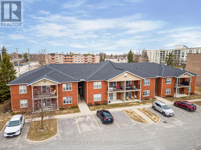 206 - 435 WALNUT STREET, Collingwood, Ontario L9Y5J9