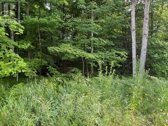 60 SUMMER LEIGH TRAIL, Huntsville (Stephenson), Ontario P0B1M0