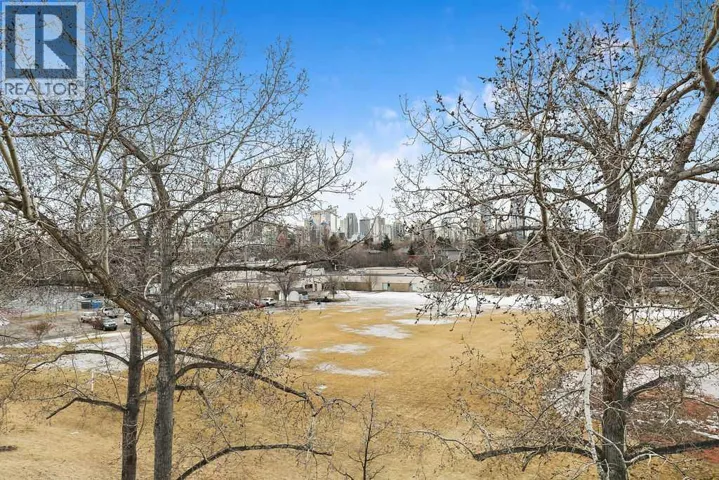 434, 1421 7 Avenue NW, Calgary, Alberta t2n0n3