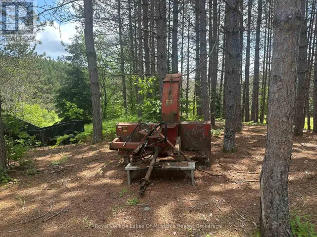 780