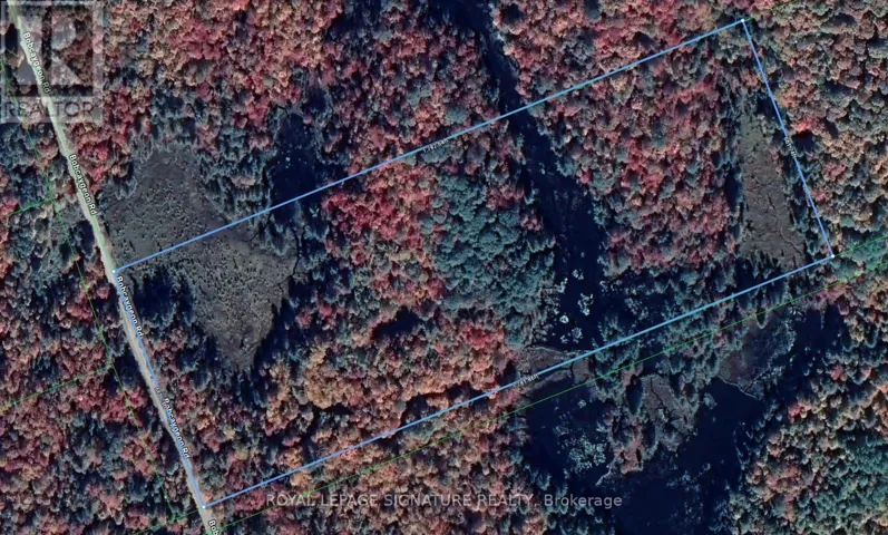 0 BOBCAYGEON ROAD, Minden Hills (Lutterworth), Ontario K0M2K0