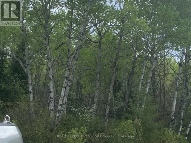 LOT 33 RUTHERGLEN LINE, Bonfield, Ontario P0H2E0