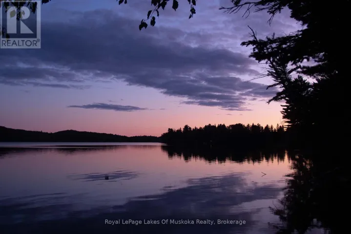 1173 LAKE OF TWO RIVERS, South Algonquin, Ontario P1H2G9