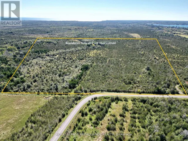 3526 COUNTY ROAD 13 ROAD, Prince Edward County (South Marysburg Ward), Ontario K0K2T0