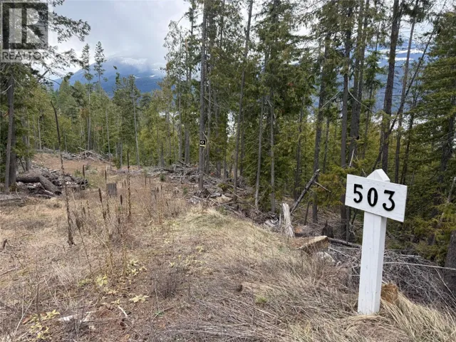 503 Riondel Road, Riondel, British Columbia V0B2B0