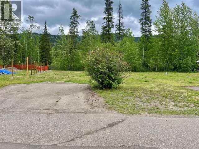 221 STEEPROCK CLOSE, Tumbler Ridge, British Columbia V0C2W0