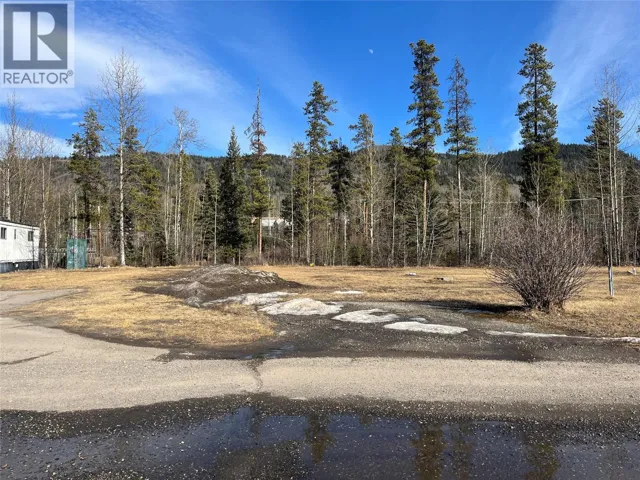 221 STEEPROCK CLOSE, Tumbler Ridge, British Columbia V0C2W0