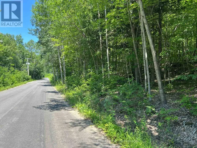 0 TALLY HO WINTER PARK ROAD, Lake of Bays (Sinclair), Ontario P1H2J3