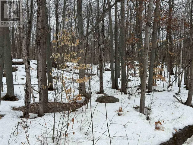 0 TALLY HO WINTER PARK ROAD, Lake of Bays (Sinclair), Ontario P1H2J3