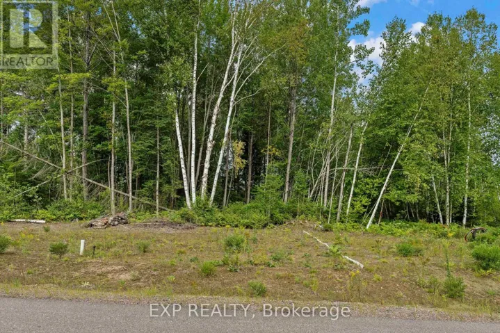 14 BIRCHVIEW DRIVE, Madawaska Valley, Ontario K0J1B0