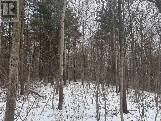 LT 45 CON 7 EBR LINDSAY, Northern Bruce Peninsula, Ontario N0H1Z0