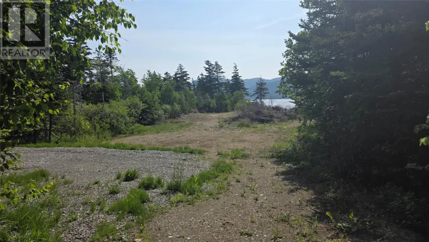 45 Main Road, York Harbour, Newfoundland & Labrador A0L1L0