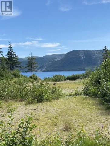45 Main Road, York Harbour, Newfoundland & Labrador A0L1L0
