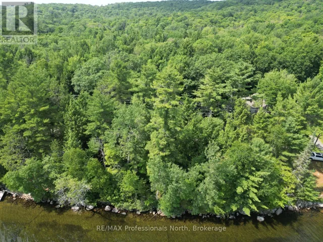 0 HALLS LAKE ROAD, Algonquin Highlands (Stanhope), Ontario K0M1S0