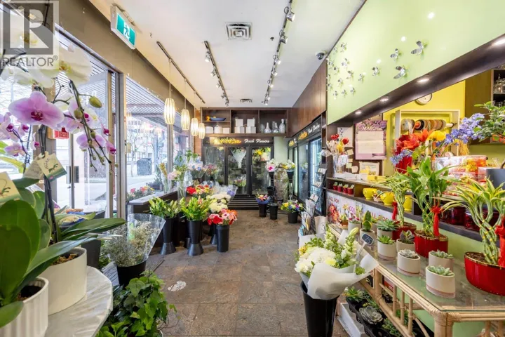 843 DAVIE STREET, Vancouver, British Columbia V6Z1B7