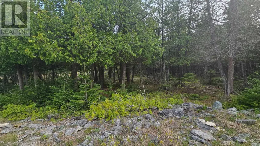 LT 254 DORCAS BAY ROAD, Northern Bruce Peninsula, Ontario N0H2R0