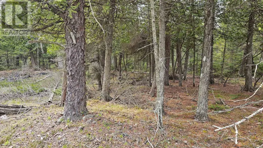 LT 255 PEDWELL PT. DRIVE, Northern Bruce Peninsula, Ontario N0H2R0