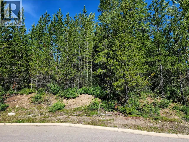 6 DEMPSEY Place, Elkford, British Columbia V0B1H0