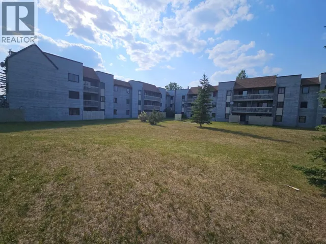 320 Northgate Unit# 307, Tumbler Ridge, British Columbia V0C2W0