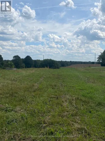 35 NELSON STREET W, Minto, Ontario N0G1M0