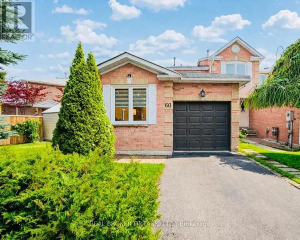 BASEMENT - 60 STEEPLEVIEW CRESCENT, Richmond Hill (North Richvale), Ontario L4C9R3