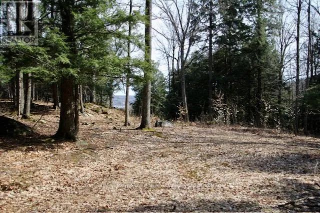 6 - 22 GRYFFIN BLUFFS LANE, Huntsville (Brunel), Ontario P0B1M0