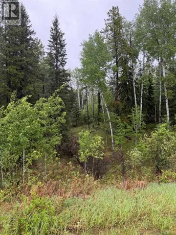 514 CLEARWATER ESTATES, Rural Clearwater County, Alberta T4T2A2