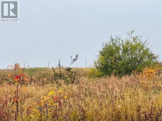 297 Main Street, New Wes Valley, Newfoundland & Labrador A0G4R0