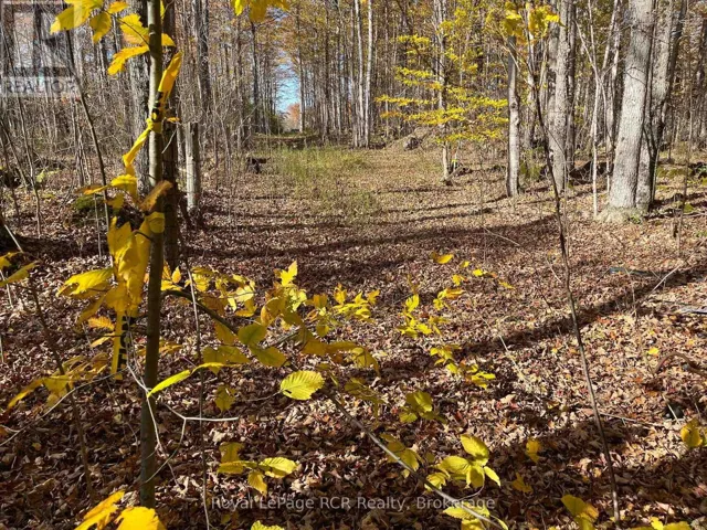 PART LOT 17 GREY ROAD 17 ROAD E, Georgian Bluffs, Ontario N0H2T0